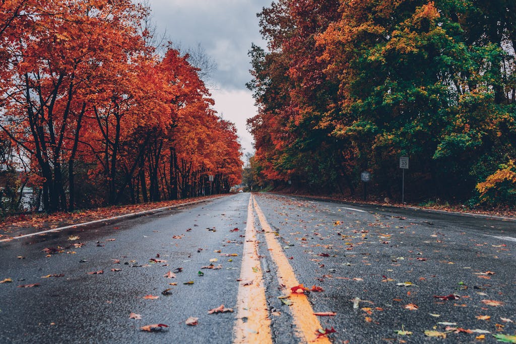 A vibrant autumn scene with colorful foliage lining a wet road in Long Pond, PA.