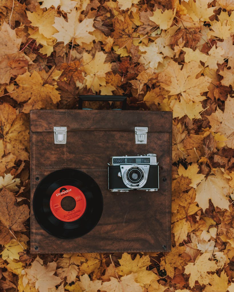 A vintage camera and vinyl record on a wooden box surrounded by autumn leaves.